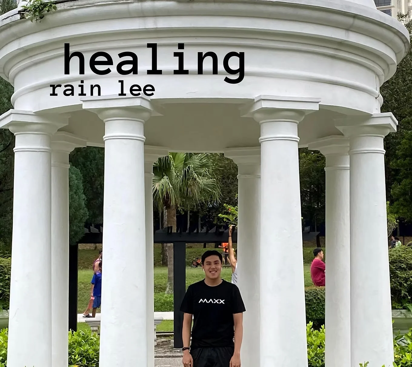 healing cover art